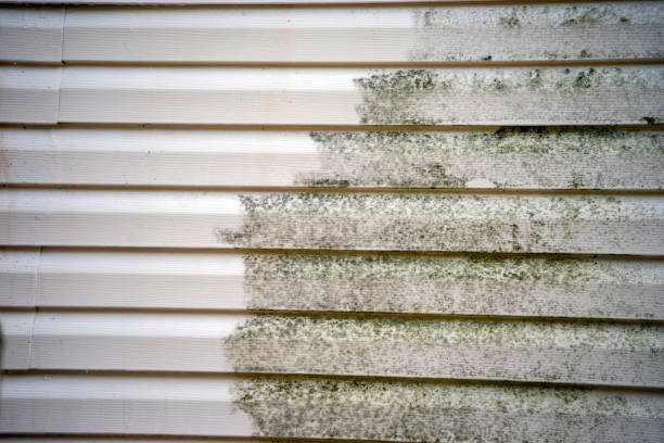 Affordable Siding Repair and Maintenance Services in Hahira, GA